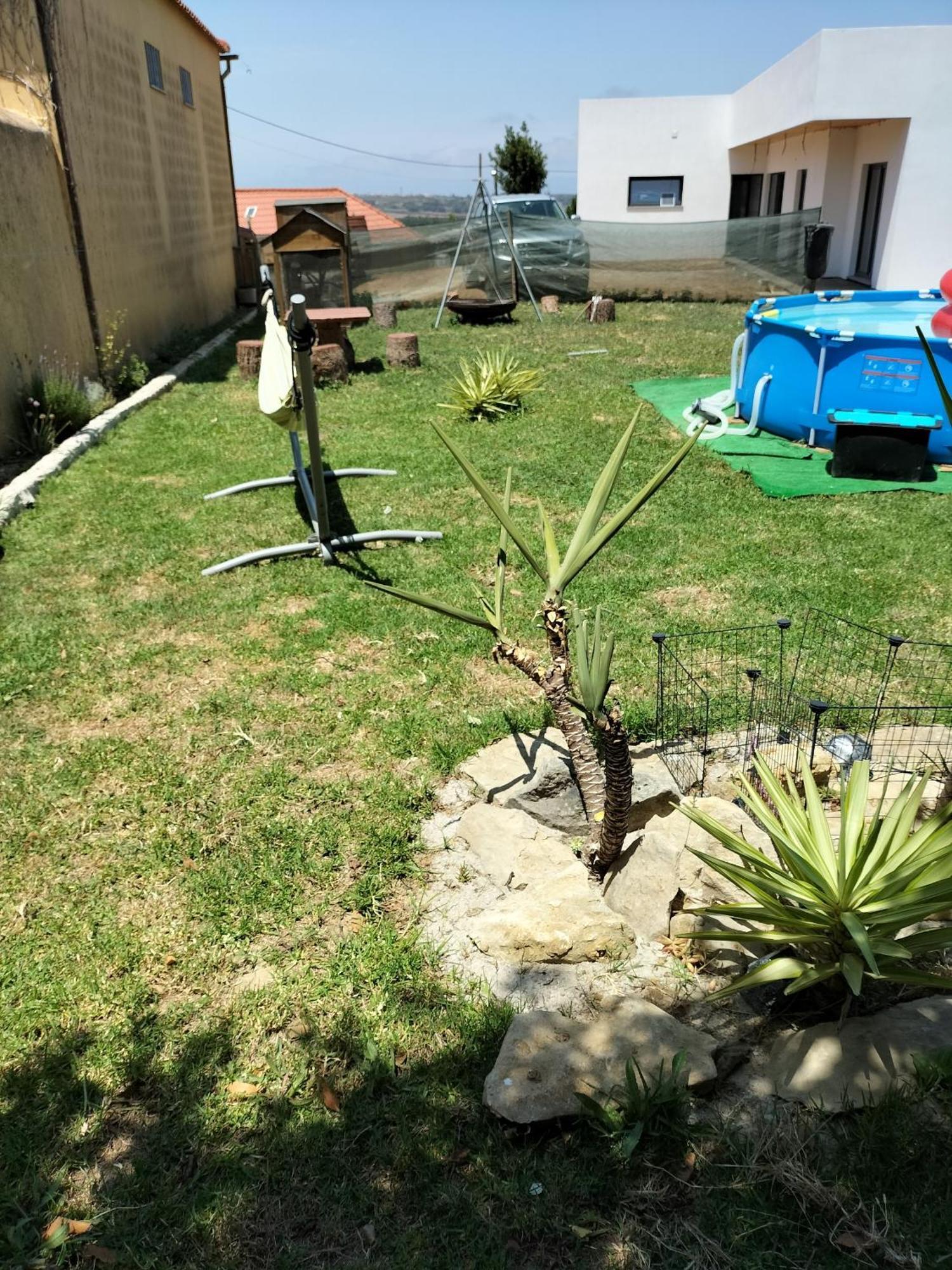 Dinocamp Guest House Lourinha  Ngoại thất bức ảnh
